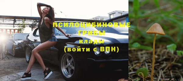 молекула духа Балахна
