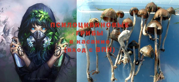 прущие крисы Балабаново