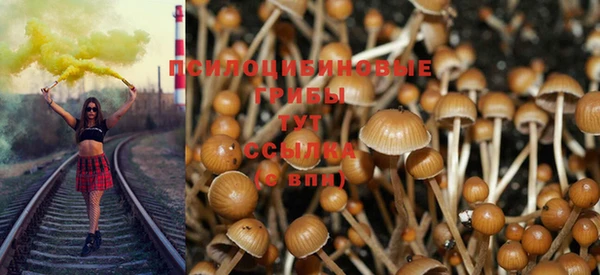 молекула духа Балахна